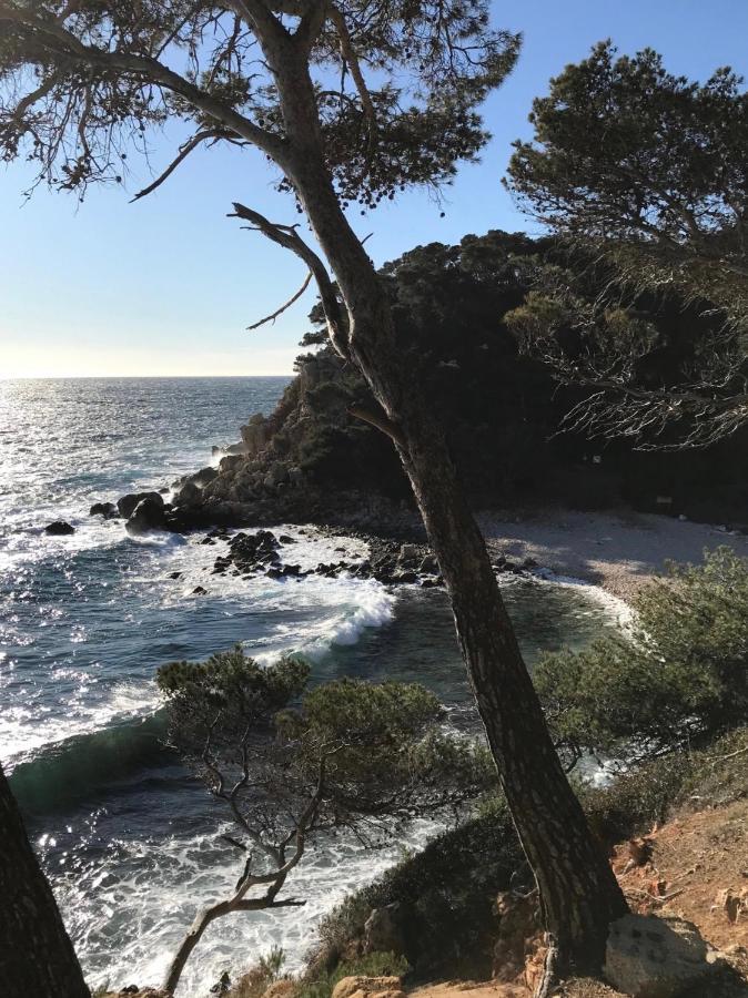 Villa Calanques Bandol ,T2 4 étoiles avec garage, dans pinède Extérieur photo