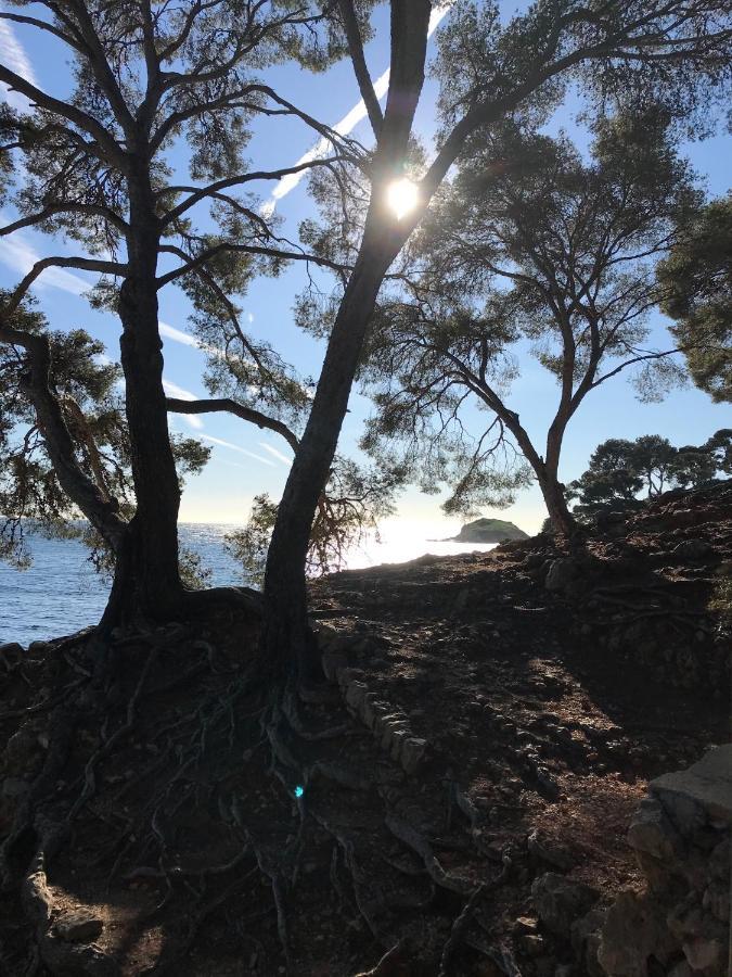 Villa Calanques Bandol ,T2 4 étoiles avec garage, dans pinède Extérieur photo
